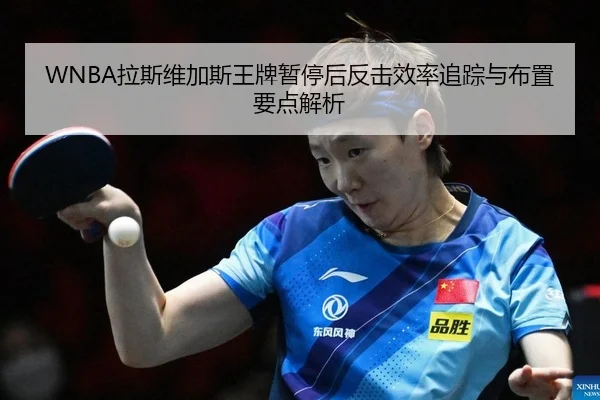 la-si-wei-jia-si-wang-pai-zan-ting-hou-fan-ji-xiao-lv-zhui-zong-yu-bu-zhi-yao-dian-jie-xi-2-965.jpg